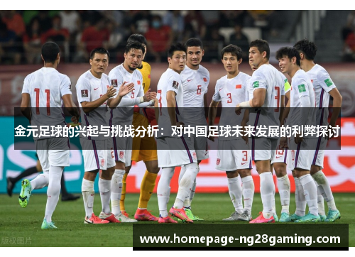 金元足球的兴起与挑战分析:对中国足球未来发展的利弊探讨 金元足球的兴起与挑战分析:对中国足球未来发展的利弊探讨