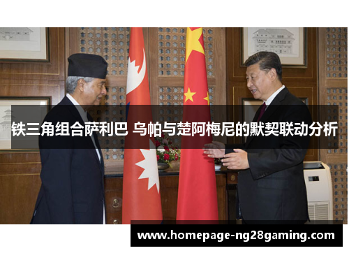 铁三角组合萨利巴 乌帕与楚阿梅尼的默契联动分析