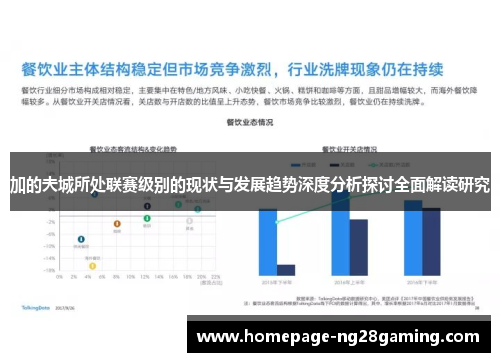 加的夫城所处联赛级别的现状与发展趋势深度分析探讨全面解读研究 加的夫城所处联赛级别的现状与发展趋势深度分析探讨全面解读研究