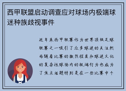 西甲联盟启动调查应对球场内极端球迷种族歧视事件
