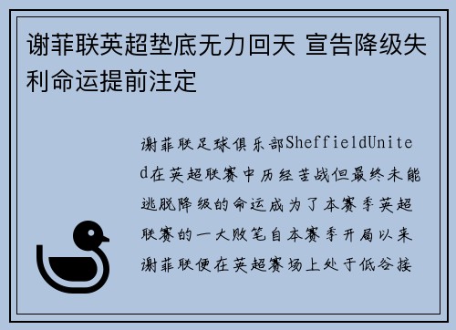 谢菲联英超垫底无力回天 宣告降级失利命运提前注定