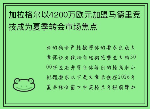 加拉格尔以4200万欧元加盟马德里竞技成为夏季转会市场焦点