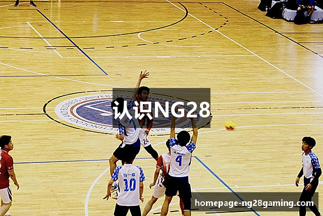 认识NG28